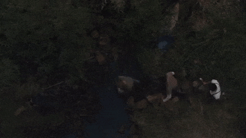 Under The Sea Water GIF by SUR