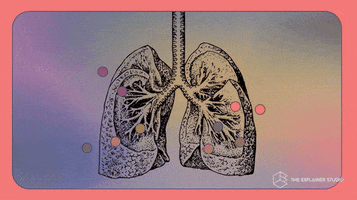 Animation Smoking GIF by The Explainer Studio
