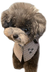 Confused Dance Sticker