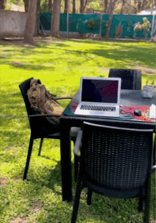 GIF animado