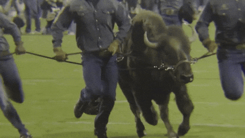 a2ac6fd52aa542f1a41837a71b288289 giphyupload GIF