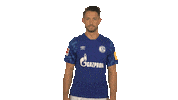 Happy Fc Schalke 04 Sticker by Bundesliga