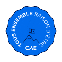 French Sticker by CAE
