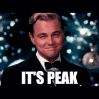 Leonardo Dicaprio Cheers GIF