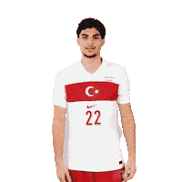Ay Yildiz Millitakim Sticker by Kaan Ayhan