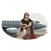 terra_bohlmann business fly coach plane Sticker