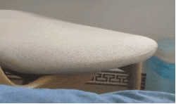 Dog Lol GIF by TikiIndia