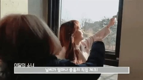 loona yyxy gowon GIF