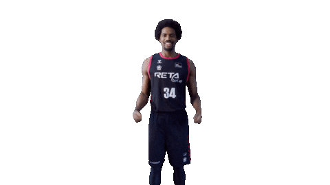 Liga Endesa Basketball Sticker by ACB
