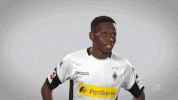 football soccer GIF by Bundesliga