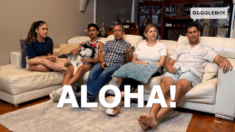 Fun Aloha GIF by Gogglebox Australia