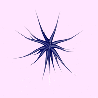 octopus tentacles GIF by ZinZen