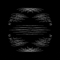 Art Loop GIF by tracheotommy