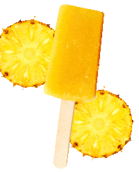 Fruit Sticker by Holistik