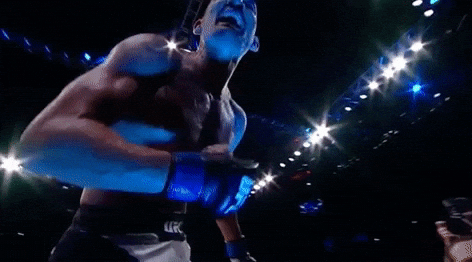 Max Holloway Winner GIF by UFC