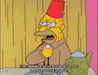 Season 2 GIF by The Simpsons