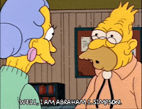 Season 2 GIF by The Simpsons
