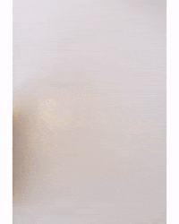 82Nc GIF by baverycool