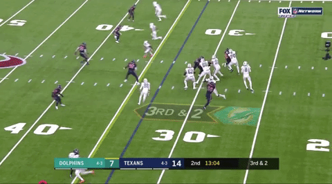 miami dolphins GIF
