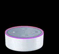 fergiedesign web design fergie alexa web designer GIF