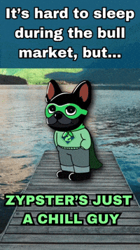 Bitcoin Insomnia GIF by Zypto