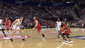 Bryce Cotton GIF by Perth Wildcats