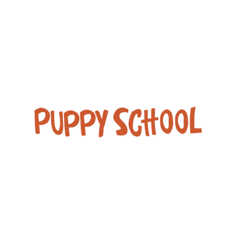 First Day Of School Sticker by Dog Dog Encaminando a tu perro