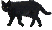 Hannibal Ec Sticker by eotvoscoli