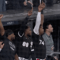 Happy White Sox GIF by Jomboy Media
