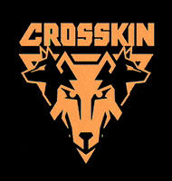 usecrosskin crosskin usecrosskin GIF