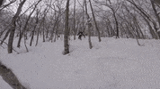 manwithavanmelbourne snowboarding melbourne mover movingday GIF