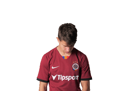 Sticker by FORTUNA:LIGA