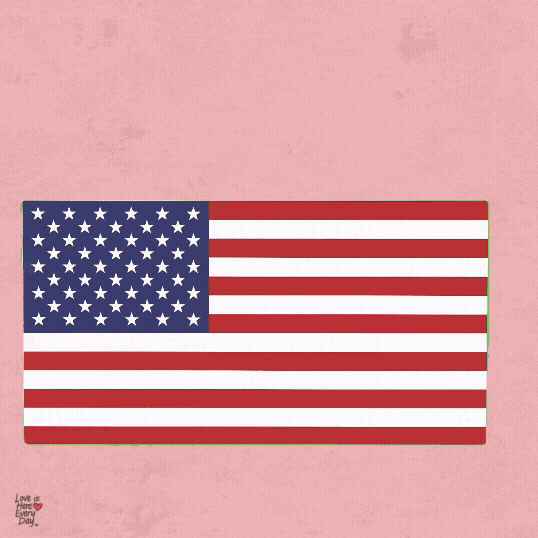 Independence Day Celebration GIF by Love is Here Every Day™