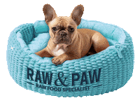 Dog Shop Sticker by Raw And Paw Co