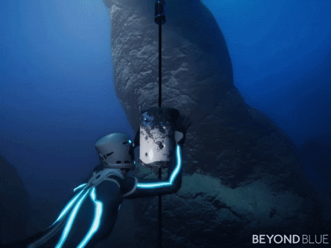 ocean buoy GIF by Beyond Blue