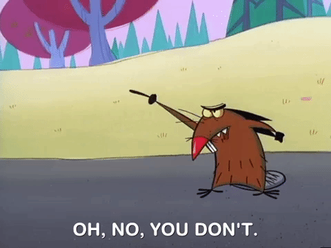 nickrewind giphydvr nicksplat angry beavers giphyab017 GIF
