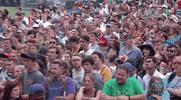 pitchfork music festival GIF by Pitchfork
