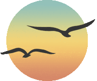Sun Flapping Sticker by Free & Easy