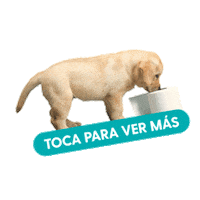 Scott Sticker by Kimberly-Clark
