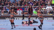 Wwe Celebrate GIF