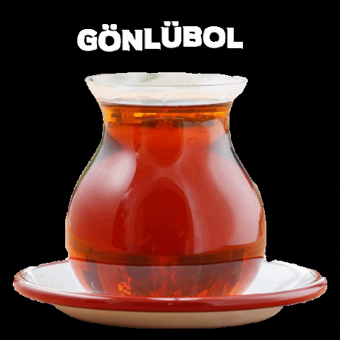 RefikaninMutfagi giphygifmaker tea glass istanbul GIF
