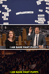 tonight show nbc GIF by The Tonight Show Starring Jimmy Fallon