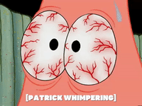 season 5 episode 10 GIF by SpongeBob SquarePants