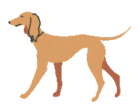 the-commons dog commons the commons thecommons Sticker