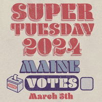 Super Tuesday Vote GIF