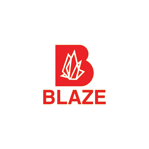 Blazemag giphyupload love dj festival Sticker