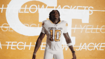 Georgia Tech Football GIF by Georgia Tech Yellow Jackets