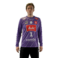 Handball Minden Sticker by DAIKIN HBL
