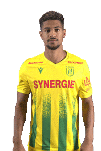 Ligue 1 Football Sticker by FCNantes