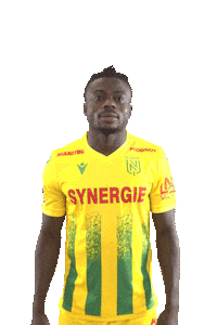 Ligue 1 Football Sticker by FCNantes